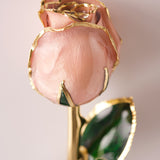 Signature - Eternal 24K Gold-Plated Rose - Pearl Blush