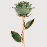 Open Bloom - Eternal 24K Gold-Plated Rose - Sage Green