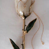 Classics - Eternal 24K Gold-Plated Rose - Ivory