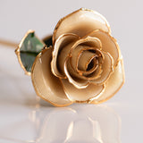 Open Bloom - Eternal 24K Gold-Plated Rose - Ivory