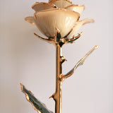 Open Bloom - Eternal 24K Gold-Plated Rose - Ivory