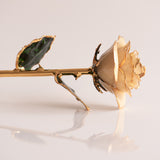 Open Bloom - Eternal 24K Gold-Plated Rose - Ivory