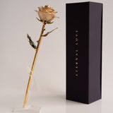Open Bloom - Eternal 24K Gold-Plated Rose - Ivory