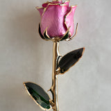 Icons - Eternal 24K Gold-Plated Rose - Pink