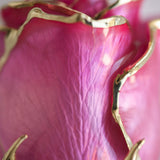 Icons - Eternal 24K Gold-Plated Rose - Pink