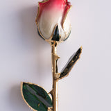 Signature - Eternal 24K Gold-Plated Rose - Rosewater Ombré