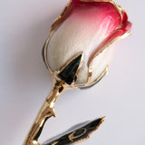 Signature - Eternal 24K Gold-Plated Rose - Rosewater Ombré