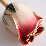 Signature - Eternal 24K Gold-Plated Rose - Rosewater Ombré