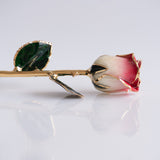 Signature - Eternal 24K Gold-Plated Rose - Rosewater Ombré