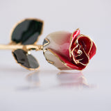 Signature - Eternal 24K Gold-Plated Rose - Rosewater Ombré