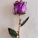 Icons - Eternal 24K Gold-Plated Rose - Purple