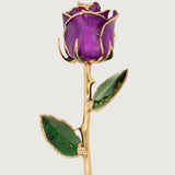 Icons - Eternal 24K Gold-Plated Rose - Purple