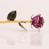Open Bloom - Eternal 24K Gold-Plated Rose - Orchid Purple