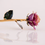 Open Bloom - Eternal 24K Gold-Plated Rose - Orchid Purple Ombré