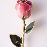 Signature - Eternal 24K Gold-Plated Rose - Orchid Ombré