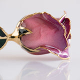 Signature - Eternal 24K Gold-Plated Rose - Orchid Ombré