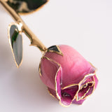 Signature - Eternal 24K Gold-Plated Rose - Orchid Ombré