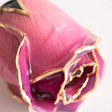 Signature - Eternal 24K Gold-Plated Rose - Orchid Ombré