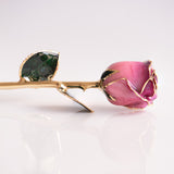 Signature - Eternal 24K Gold-Plated Rose - Orchid Ombré