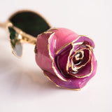Signature - Eternal 24K Gold-Plated Rose - Orchid Ombré