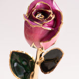 Signature - Eternal 24K Gold-Plated Rose - Orchid Ombré