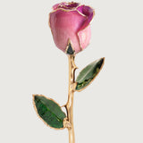 Signature - Eternal 24K Gold-Plated Rose - Orchid Ombré