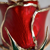 Icons - Eternal 24K Gold-Plated Rose - Red