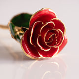 Open Bloom - Eternal 24K Gold-Plated Rose - Red