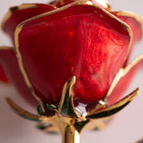 Open Bloom - Eternal 24K Gold-Plated Rose - Red