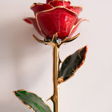 Open Bloom - Eternal 24K Gold-Plated Rose - Red