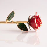 Open Bloom - Eternal 24K Gold-Plated Rose - Red