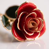 Open Bloom - Eternal 24K Gold-Plated Rose - Red Blush Ombre