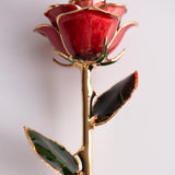 Open Bloom - Eternal 24K Gold-Plated Rose - Red Blush Ombre