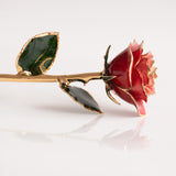 Open Bloom - Eternal 24K Gold-Plated Rose - Red Blush Ombre