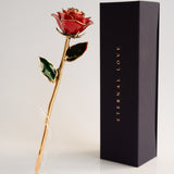 Open Bloom - Eternal 24K Gold-Plated Rose - Red Blush Ombre