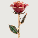 Open Bloom - Eternal 24K Gold-Plated Rose - Red Blush Ombre