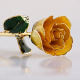 Classics - Eternal 24K Gold-Plated Rose - Yellow