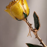 Classics - Eternal 24K Gold-Plated Rose - Yellow