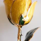 Classics - Eternal 24K Gold-Plated Rose - Yellow