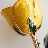 Classics - Eternal 24K Gold-Plated Rose - Yellow