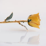 Classics - Eternal 24K Gold-Plated Rose - Yellow