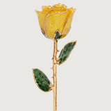 Classics - Eternal 24K Gold-Plated Rose - Yellow