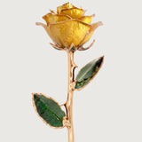 Open Bloom - Eternal 24K Gold-Plated Rose - Sunlit Yellow