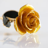 Open Bloom - Eternal 24K Gold-Plated Rose - Sunlit Yellow