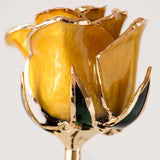 Icons - Eternal 24K Gold-Plated Rose - Yellow