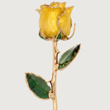Icons - Eternal 24K Gold-Plated Rose - Yellow