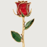 Icons - Eternal 24K Gold-Plated Rose - Red