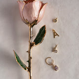 Eternal Rose Charm Holder